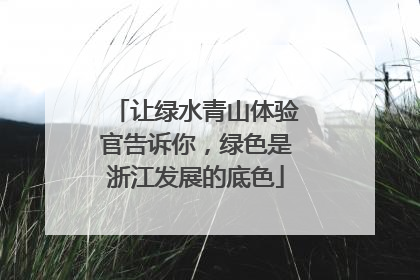 让绿水青山体验官告诉你，绿色是浙江发展的底色